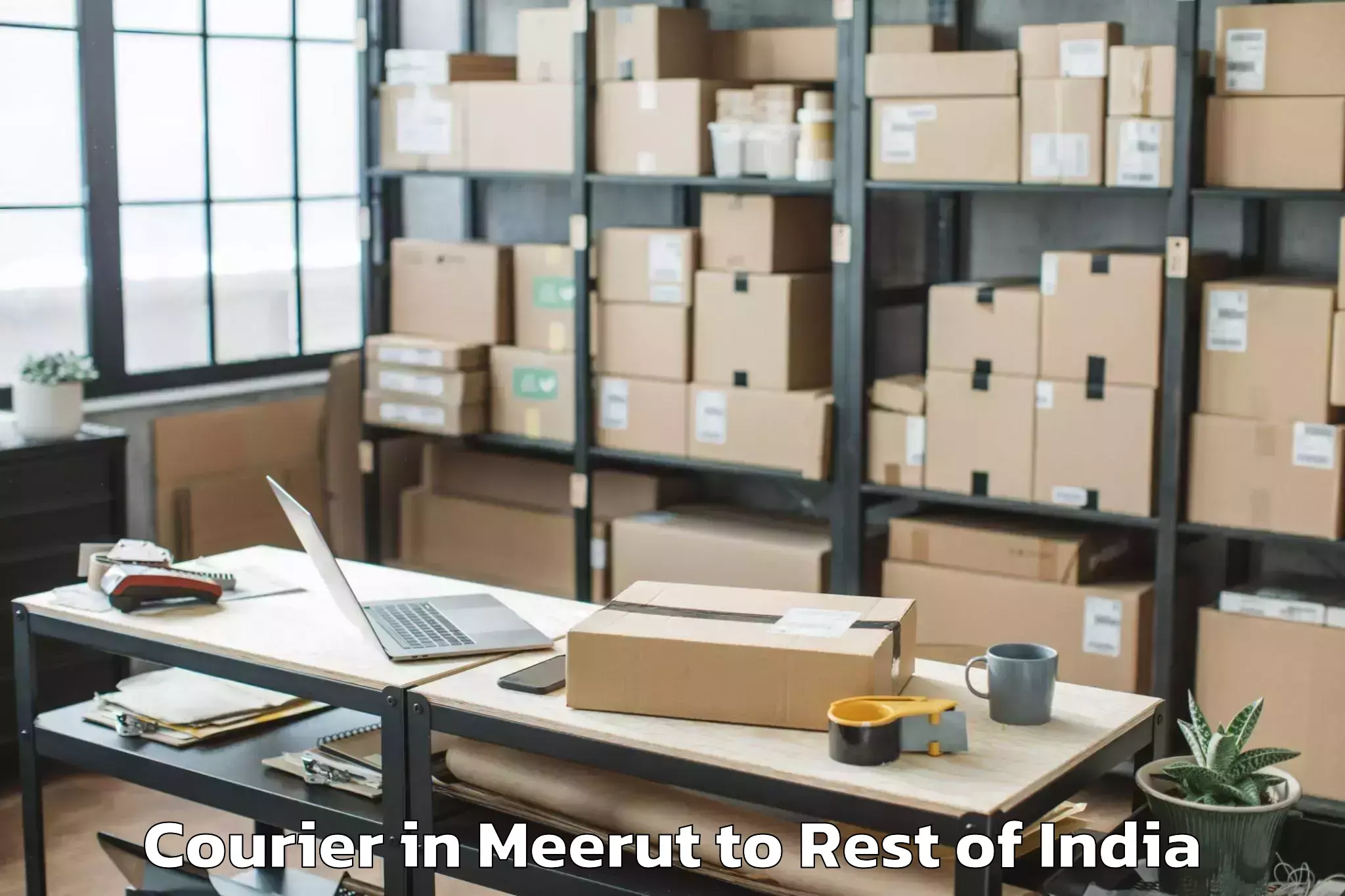 Top Meerut to Jakhanian Courier Available